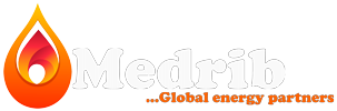 Medrib Global Logo