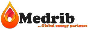 Medrib Global Logo